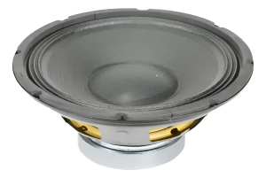 Parlante Altavoz Pasivo Tecshow 10w120 10 Pulgadas 120w Negro