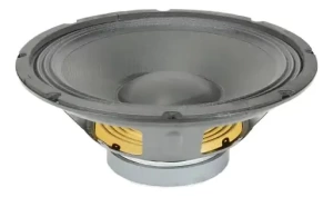 Parlante Altavoz Pasivo Tecshow 12w200 12 Pulgadas 200w Negro